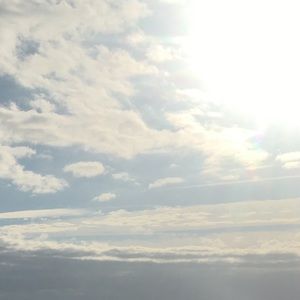 Meet your Posher, Marla